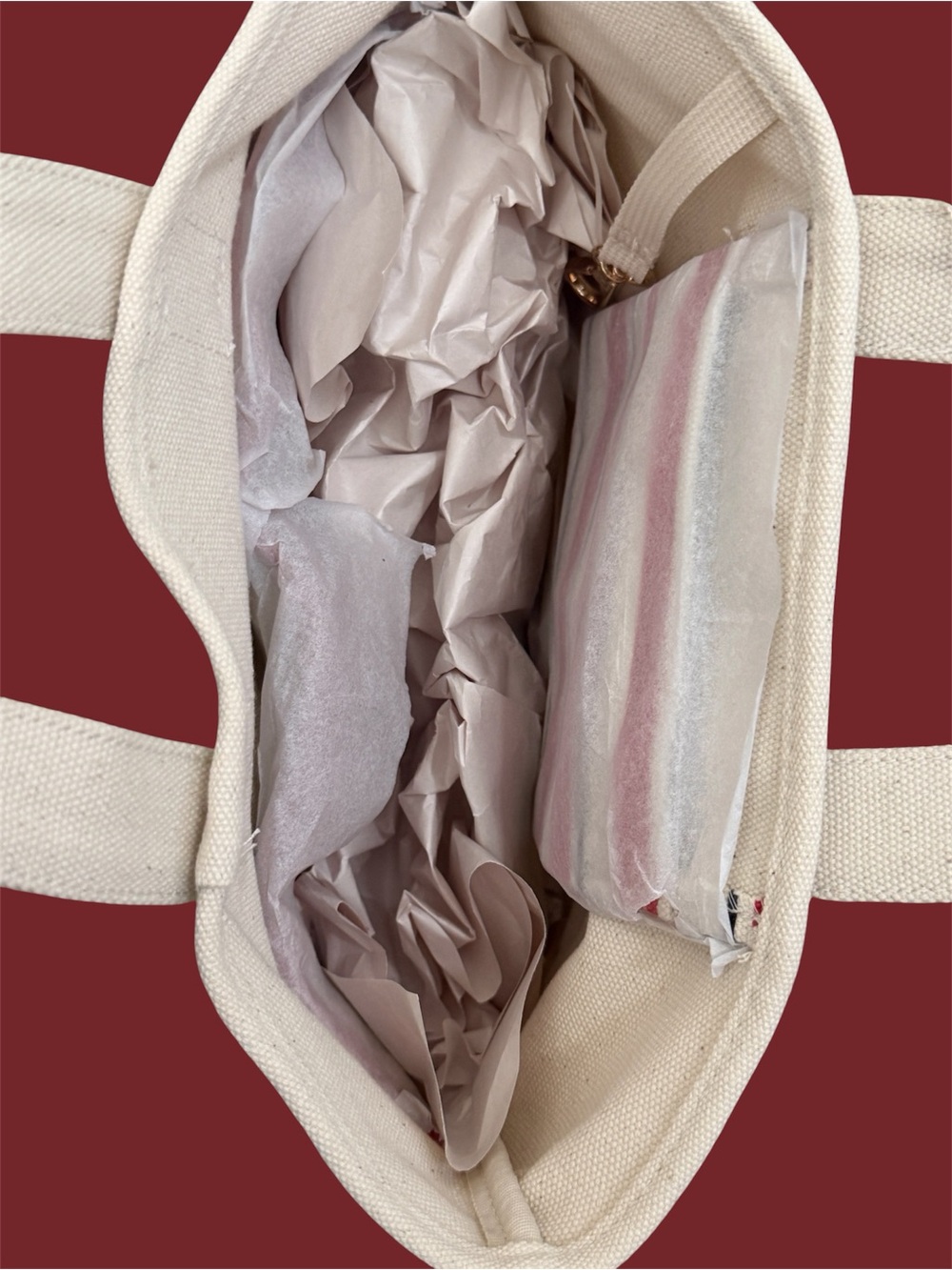 NWT Parke x Target Mini Canvas Tote - Picture 3 of 6